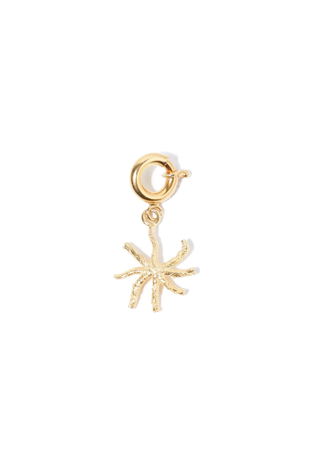 Büyük Yıldız Uç